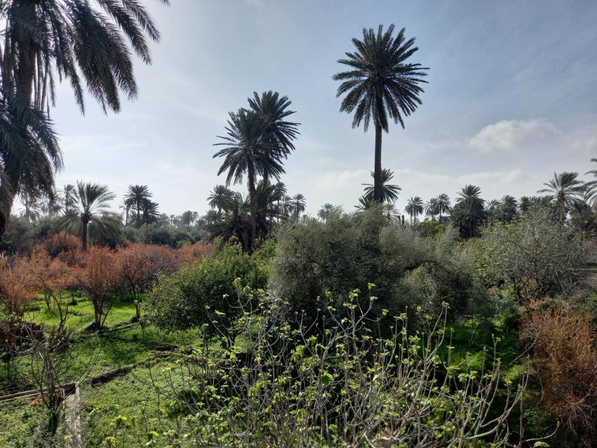 Dar Seddik Hotel Gafsa Eksteriør billede