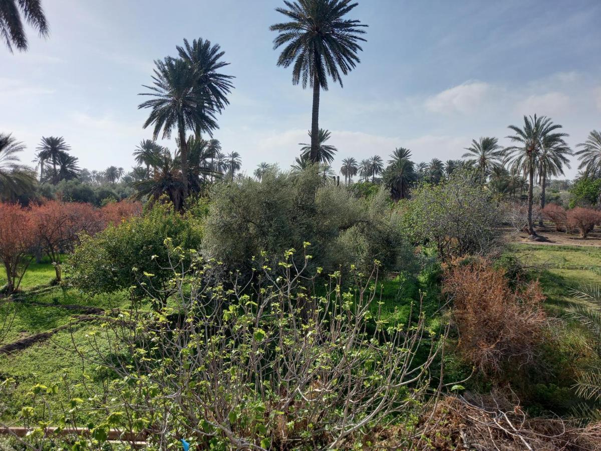 Dar Seddik Hotel Gafsa Eksteriør billede