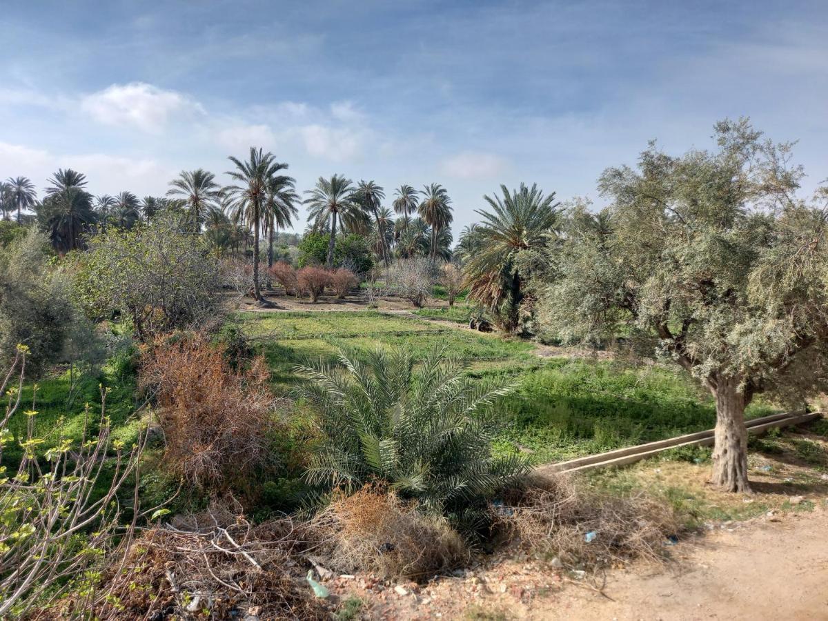 Dar Seddik Hotel Gafsa Eksteriør billede
