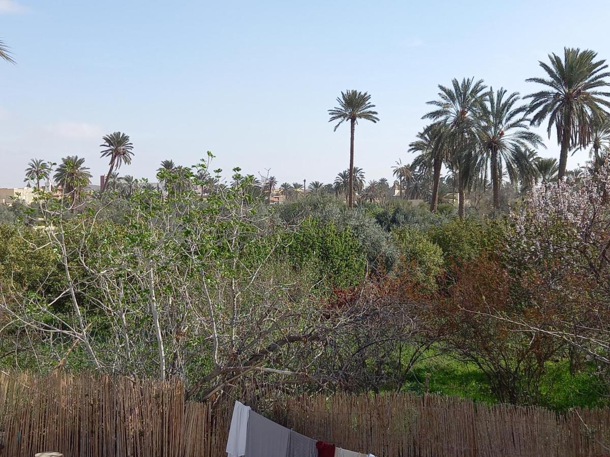 Dar Seddik Hotel Gafsa Eksteriør billede
